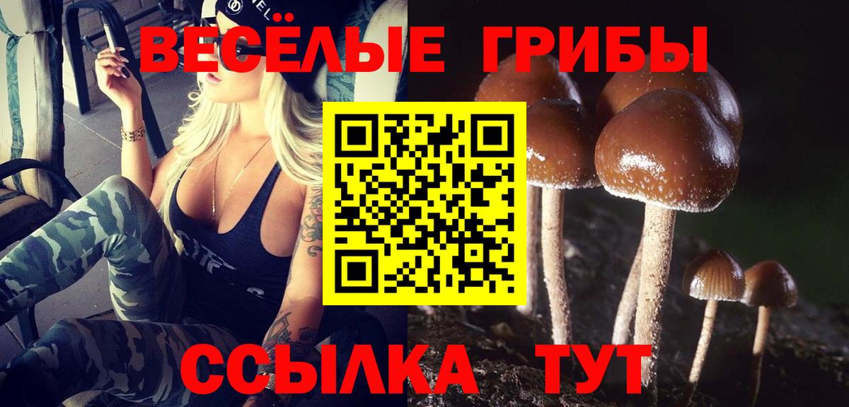 Галлюциногенные грибы Cubensis Лабытнанги